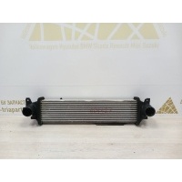 Радиатор интеркулера Exeed TXL M32T 2020-2023 302000507AA