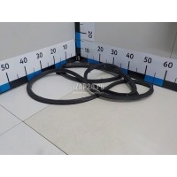 Уплотнитель двери Nissan Note (E11) (2006 - 2013) 828319U10A