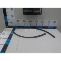 Уплотнитель двери Renault Scenic II (2003 - 2009) 8200288037