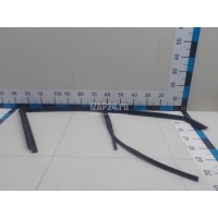 Уплотнитель стекла двери Renault Scenic II (2003 - 2009) 7701475617