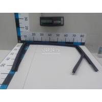 Уплотнитель стекла двери Renault Scenic II (2003 - 2009) 7701475618