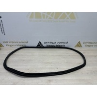 уплотнитель двери BMW 3 F30 Рестайлинг 2017 51727303967