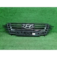 Решетка радиатора Hyundai Sonata 8 DN8 (2019-2023) Hyundai Параметр: Модель 2019 863A0L1370