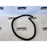 Уплотнитель двери передней правой Mercedes CLS W219 2006 A2196970151, 2196970151
