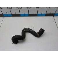 Патрубок радиатора Volvo C30 (2006 - 2013) 30741964
