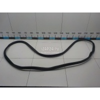 Уплотнитель двери BMW X5 E70 (2007 - 2013) 51767220382