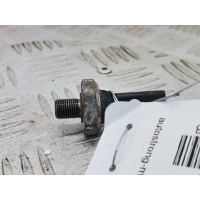 Датчик давления масла Volkswagen Bora(Jetta) (1998-2005) 2000 06A919081J,06A919081D