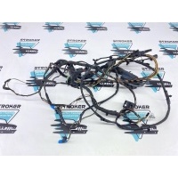 проводка двери BMW 7-Series ActiveHybrid F04 2010 61129219979