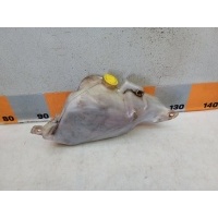 Бачок расширительный Nissan Primera P11 1995 217103J100