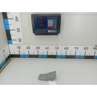 Накладка (кузов внутри) MAN 4-Serie TGA (2000 - 2008) 81623050054