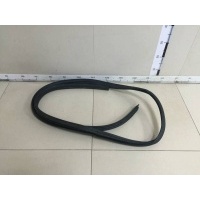 Уплотнитель проема двери передней правой Renault Renault Duster 2012> 808321867R