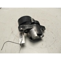 Механизм натяжения ремня, цепи Renault Scenic I (1996-2003) 1999 8200609359