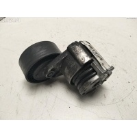 Механизм натяжения ремня, цепи Renault Scenic II (2003-2009) 2006 8200360624