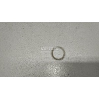 Кольцо уплотнительное датчика парковки Mercedes Benz Sprinter (906) (2006 - 2018) 0005421051