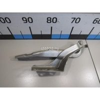 Петля капота левая Citroen-Peugeot 308 I (2007 - 2015) 7912C8