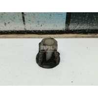 Крепеж фары VAG Octavia (A5 1Z-) (2004 - 2013) WHT000264