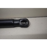 Амортизатор капота VAG A4 [B8] (2007 - 2015) 8T0823359