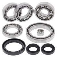 Подшипники дифференциала п z8 - ex terracross 800 14 - 16