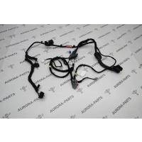 Проводка задней двери LH Land Rover Discovery Sport L550 2014 LR085801