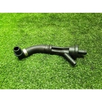 клапан обратный Land Rover Range Rover III (LM) 2002-2012 2003 LKN000020