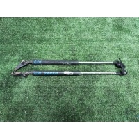 амортизатор двери багажника Honda Fit GD1 2005 04741-SAA-010