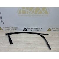 Уплотнитель стекла двери Exeed TXL M32T 2020-2023 554000172AA