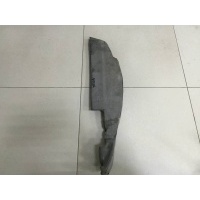 Пыльник (кузов наружные) Renault Renault Duster 2012> 762905756R