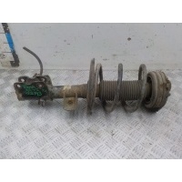 Амортизатор передний Nissan Teana II 2008-2011 E4303JN01D