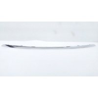 Молдинг двери Haval F7x 2022 5506121XKQ00A