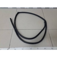Уплотнитель проема двери задней левой Opel Opel Antara 2007-2015 96624229