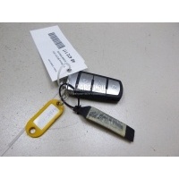 Ключ зажигания VAG Passat CC (2008 - 2017) 3C0959752BGZQG