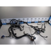 Проводка (коса) Citroen-Peugeot C4 Grand Picasso (2006 - 2014) V762063380