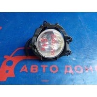 фара противотуманная TOYOTA AVENSIS ZRT272 81210-02110
