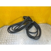Уплотнительная резинка боковой двери Nissan Navara (D40) 2004-2015 2007