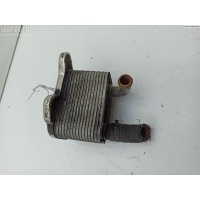 Теплообменник Opel Meriva A 2005 8973235441