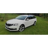 Октавия 1.6 tdi с 2017 года рекомендуем