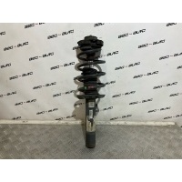 Амортизатор Volkswagen Tiguan 1 2009 5n0413031ac, 5n0413031k, 5n0412021be, 5n0413031ac