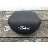 Подушка безопасности (Airbag) Chery Tiggo 7 Pro Max T1E 2024 407000183AA