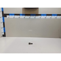 Болт колесный Nissan Almera (G15) (2013 - 2018) 4025400Q0N