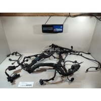 Проводка (коса) Mercedes Benz W222 (2013 - 2020) 2781509820