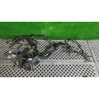 Проводка двигателя Renault Koleos 2008 24011 JY70B