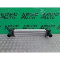 интеркулер Chery Tiggo 8 Pro T1A 2021-нв 302001149AA, 302001737AA, 7