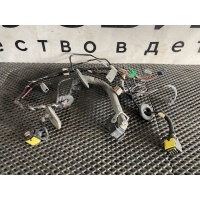 проводка двери левой Volvo FH4 22935541,22935545,21237138,21852601