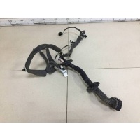 Проводка двери Renault Renault Fluence 2010-2017 241244055R