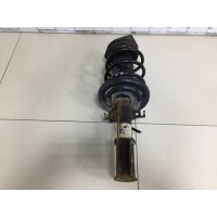 Амортизатор передний Renault Renault Fluence 2010-2017 543023532R