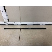 Амортизатор капота Renault Renault Duster 2012> 654710944R