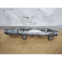 Топливная рампа Audi A6 Allroad C6 [рестайлинг] 2009 059130089AH,059130758K