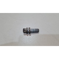 Болт суппорта BMW Countryman F60 2016 34206867544