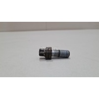 Болт суппорта BMW Countryman F60 2016 34206867544
