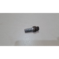 Болт суппорта BMW Countryman F60 2016 34206867544